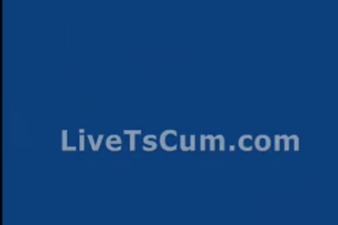 KTC tranny cam Show 2018 02 eighteen
