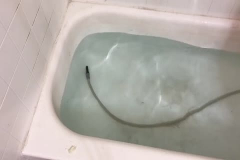 Lizzy Yum Retro - raw video #1