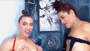 ladyboy pair enjoyment Each Other cocks
