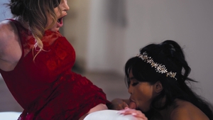 Transgressive Films: Taffeta Turmoil
